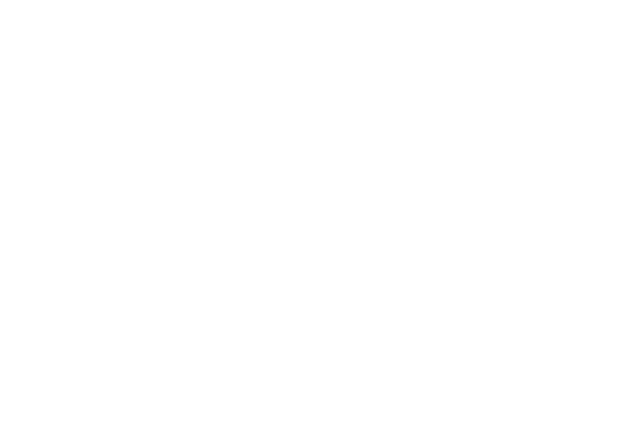 十三代目 市川團十郎白猿襲名記念